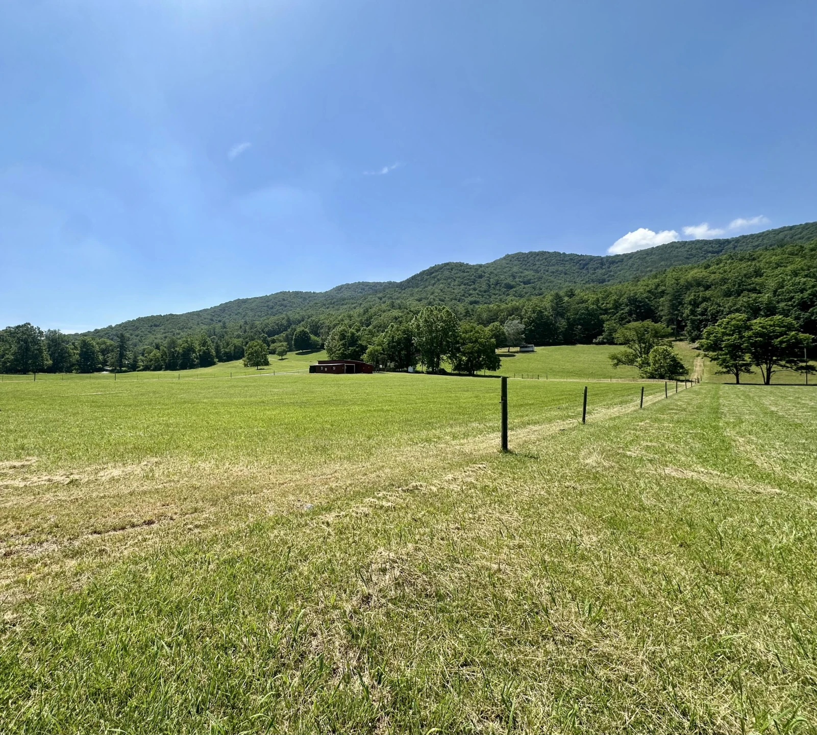 2112 Cove Creek Rd - Photo 58