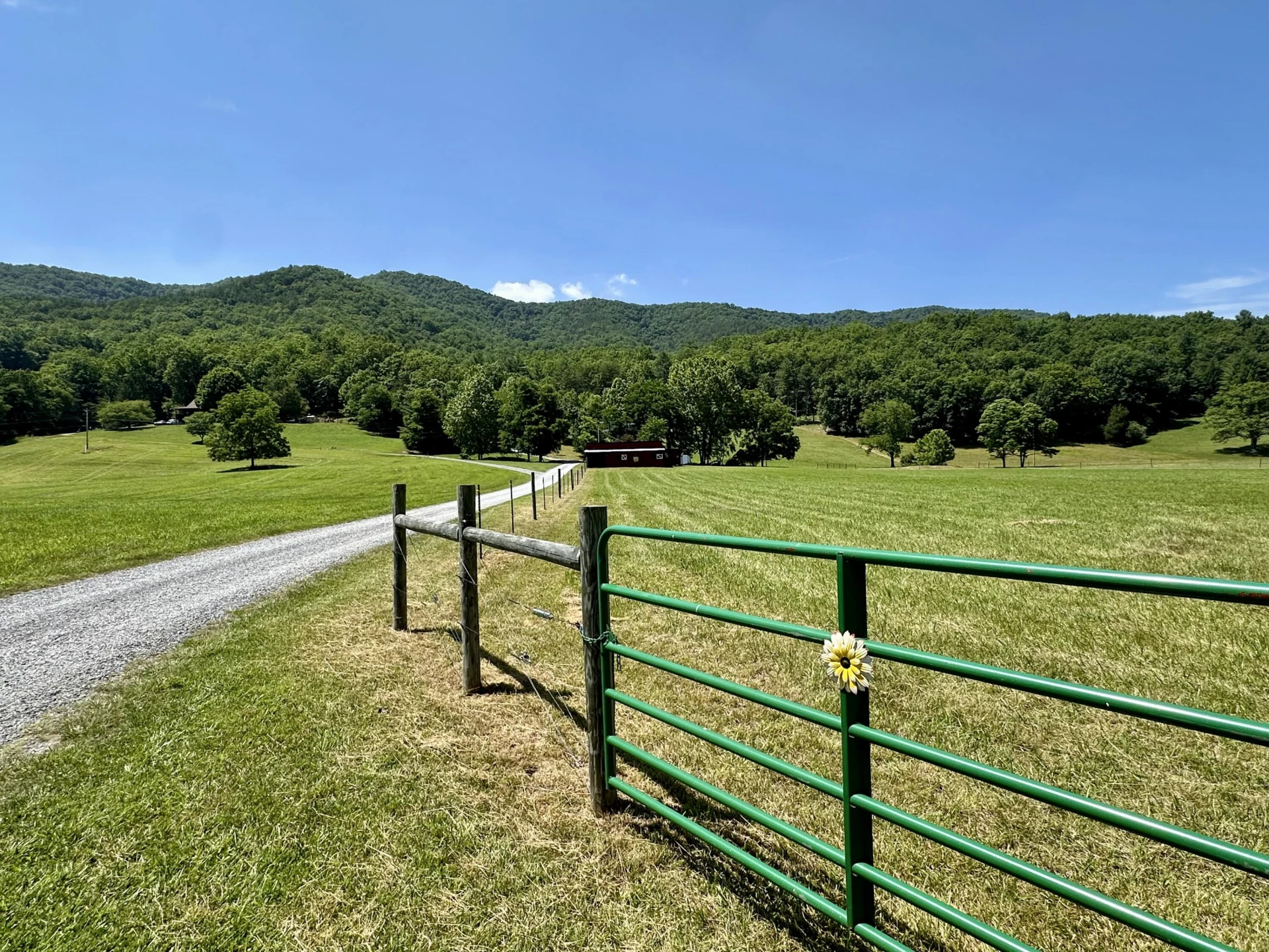2112 Cove Creek Rd - Photo 59