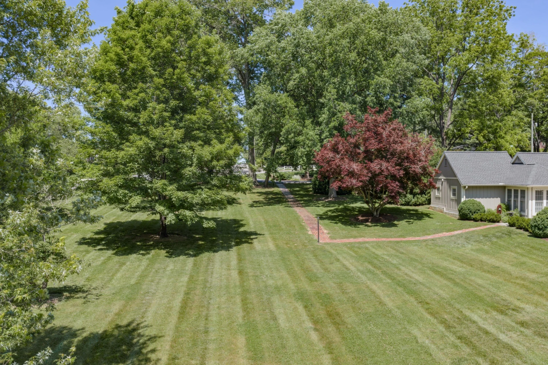 203 Ross Rd - Photo 75