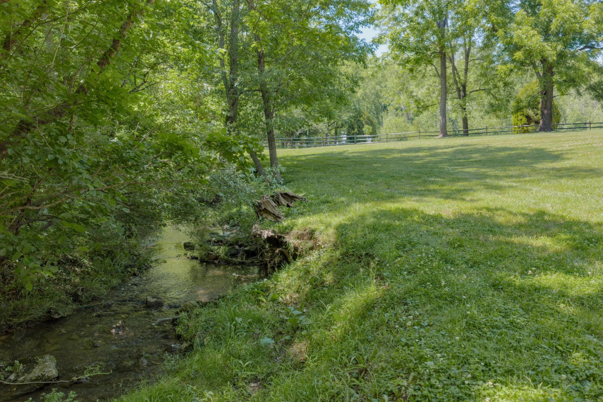 203 Ross Rd - Photo 76