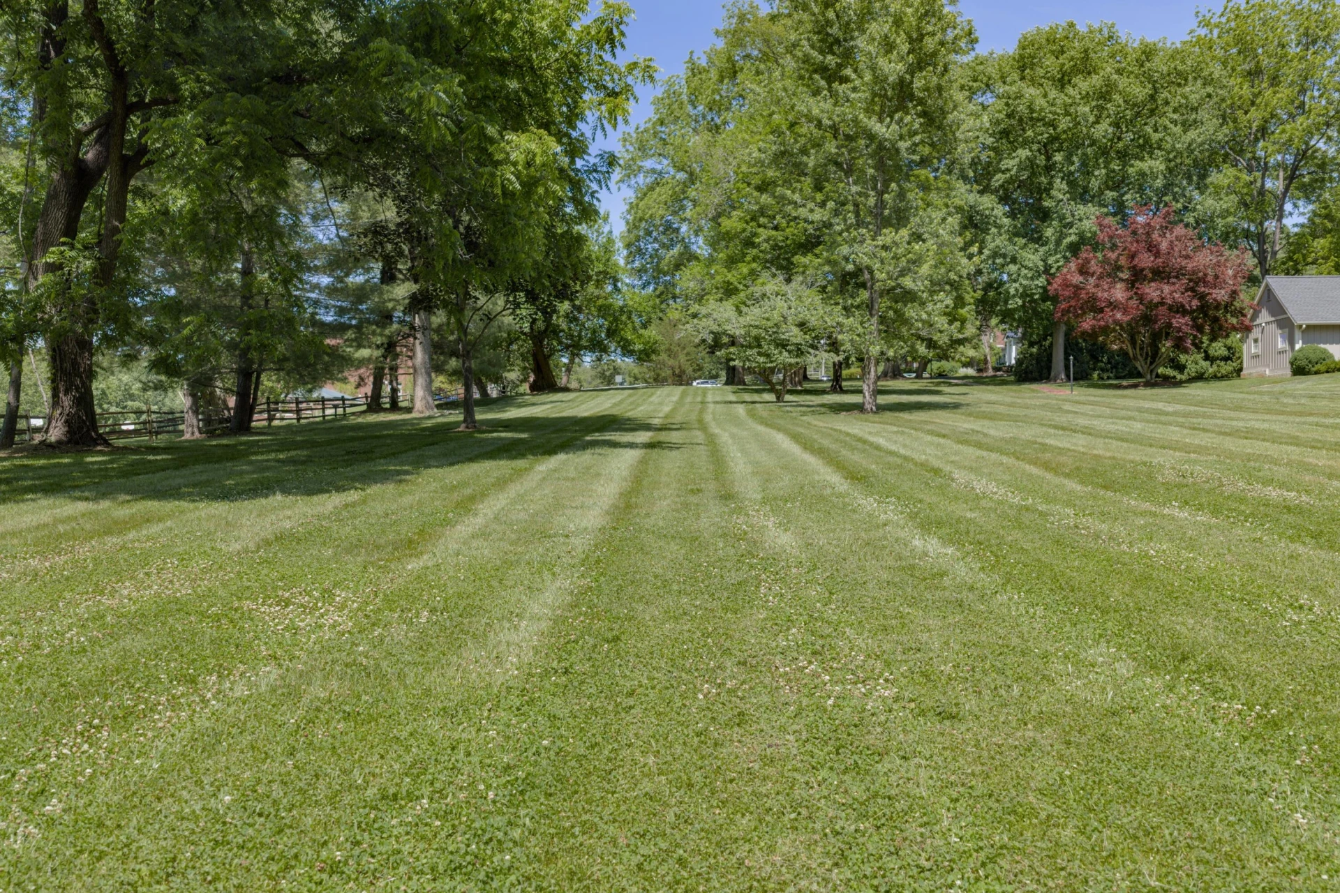 203 Ross Rd - Photo 78