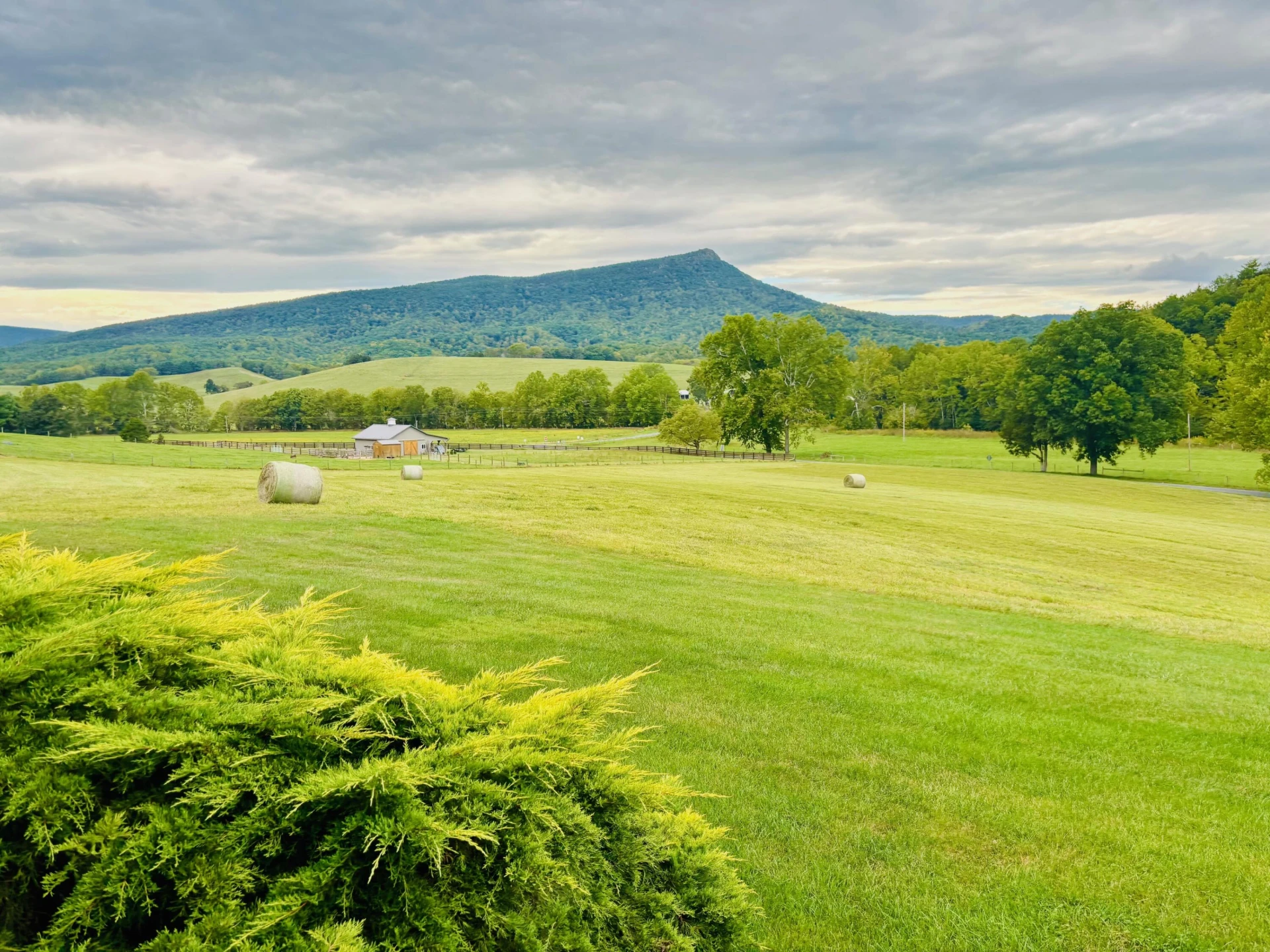 80 E Field Rd - Photo 65