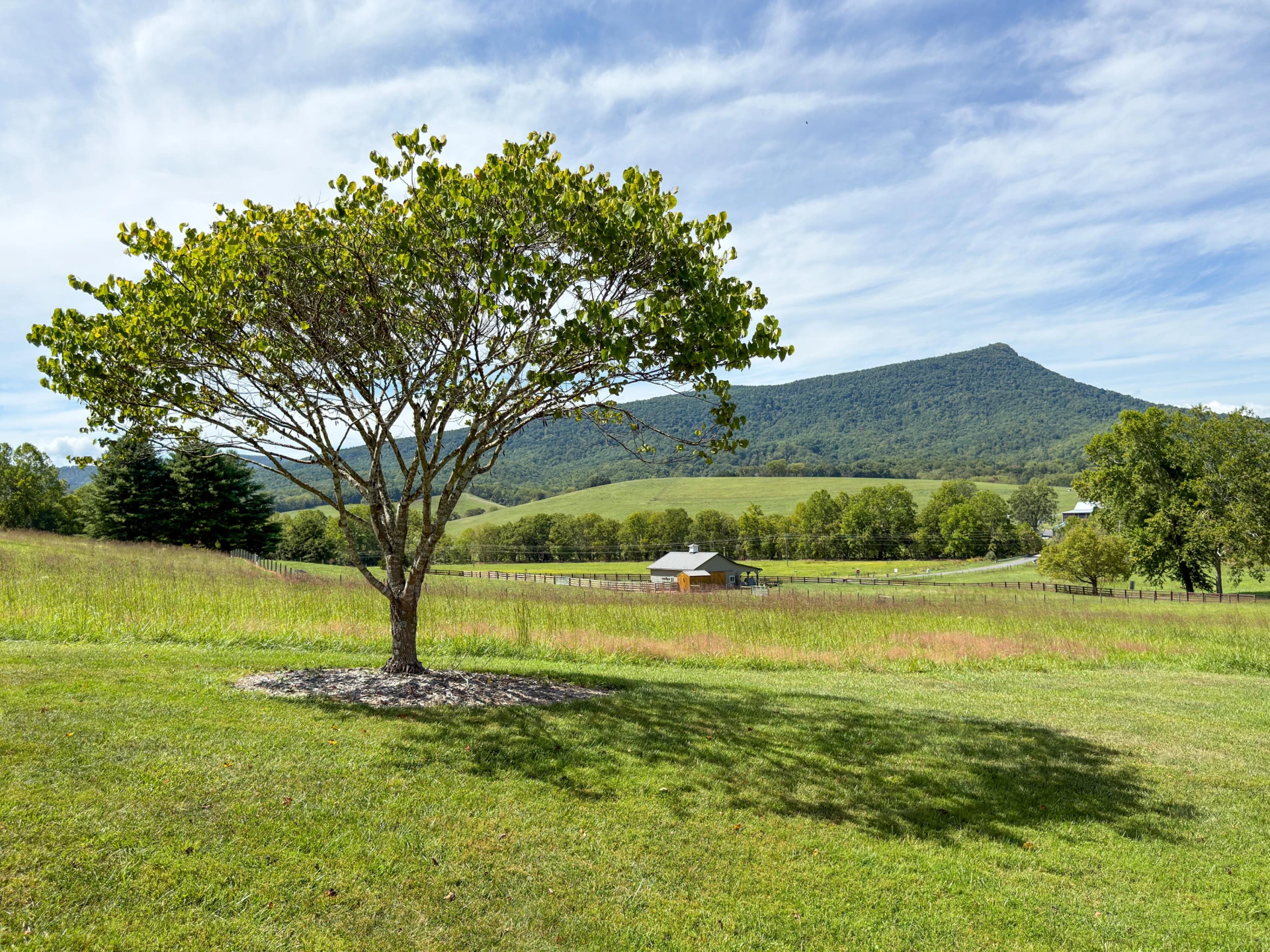 80 E Field Rd - Photo 73