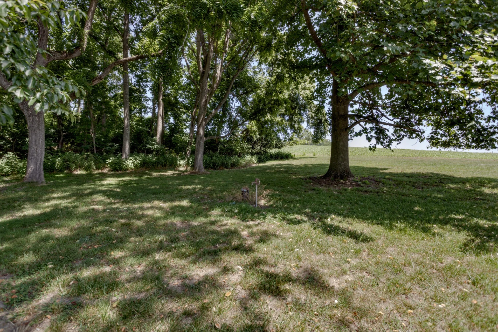 1521 Mountain View Rd - Photo 44