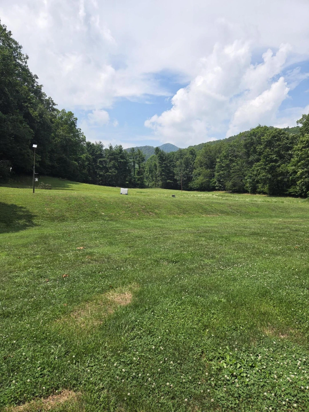 176 W Morris Hill Rd - Photo 27