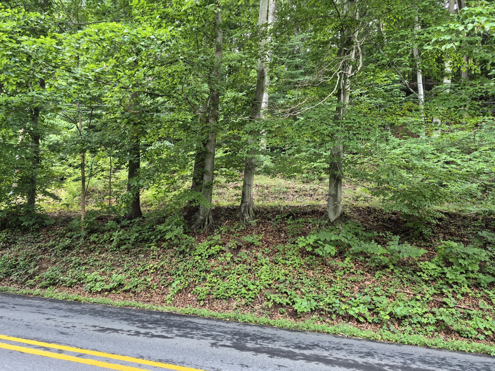 TBD Blue Ridge Rd