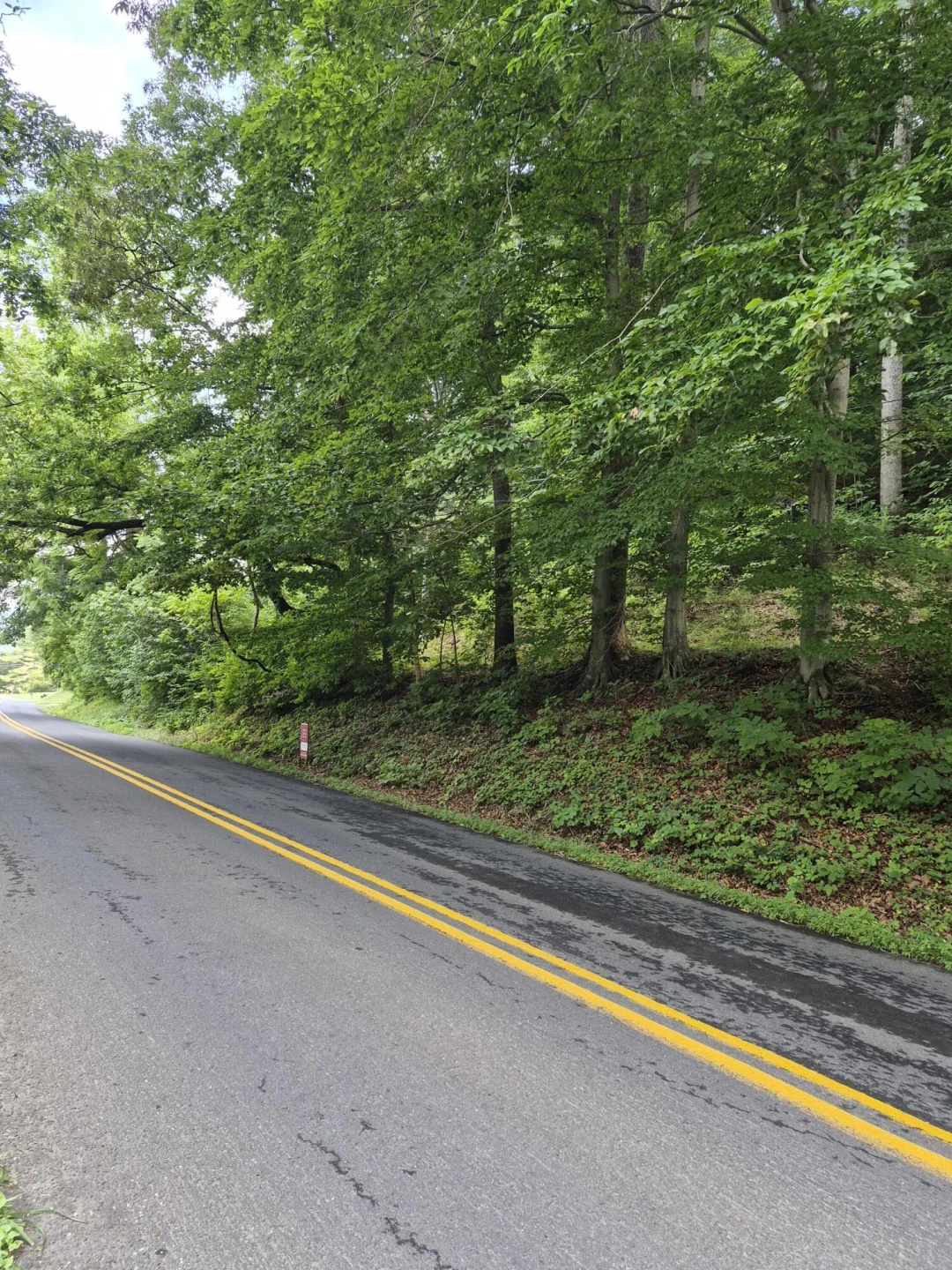 TBD Blue Ridge Rd - Photo 2