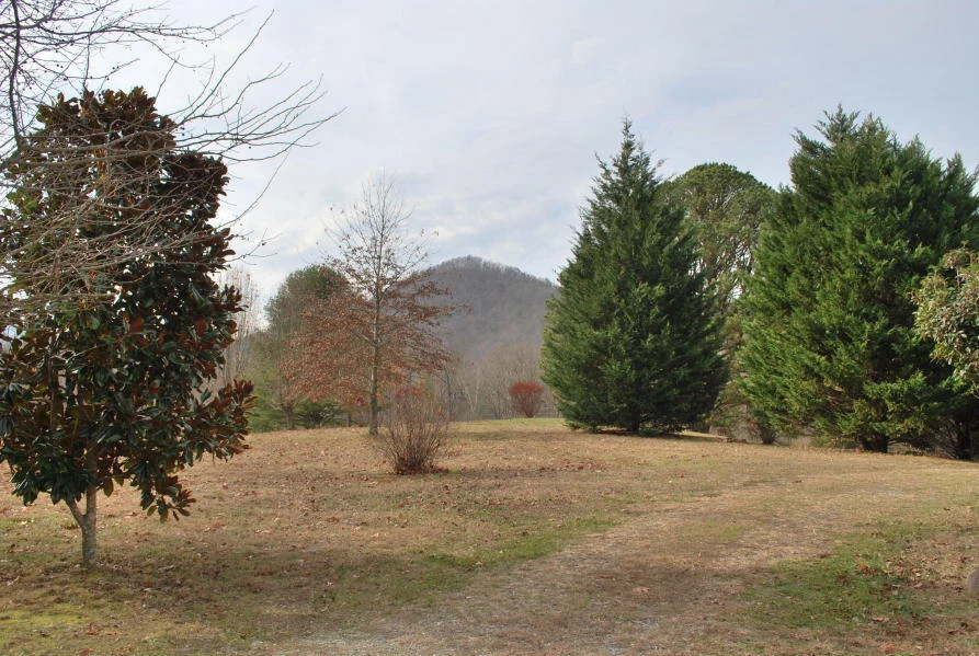 125 Elk Creek Ln - Photo 23