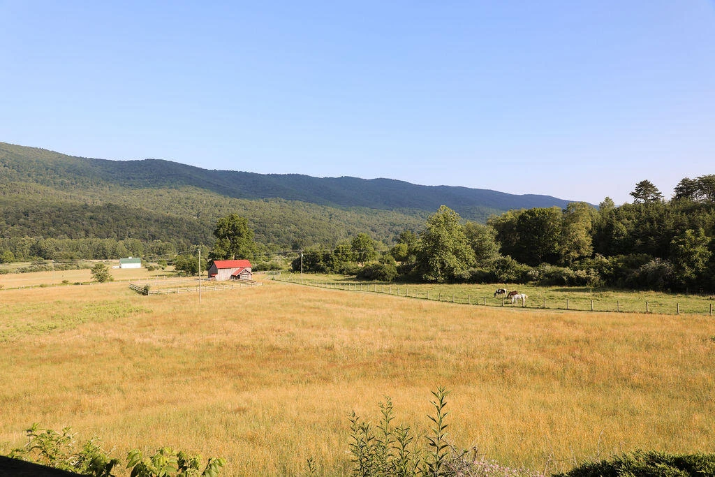 12132 Jackson River Rd - Photo 10