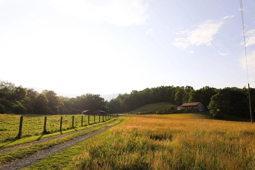 12132 Jackson River Rd - Photo 11