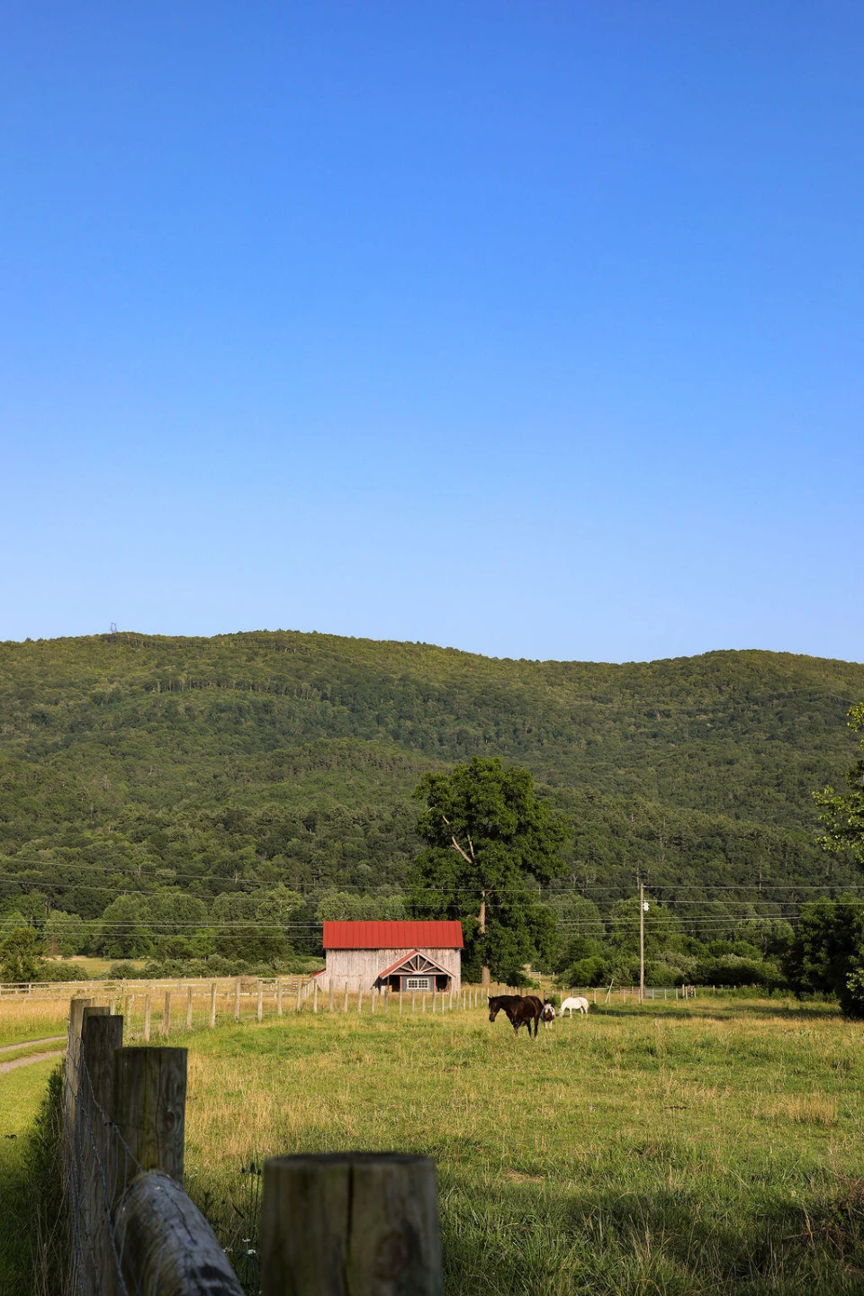 12132 Jackson River Rd - Photo 12