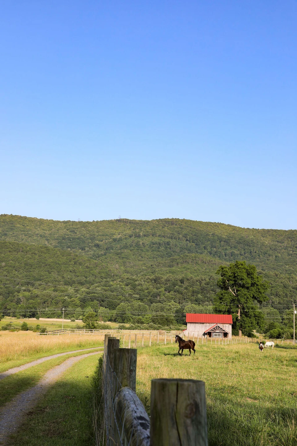 12132 Jackson River Rd - Photo 13