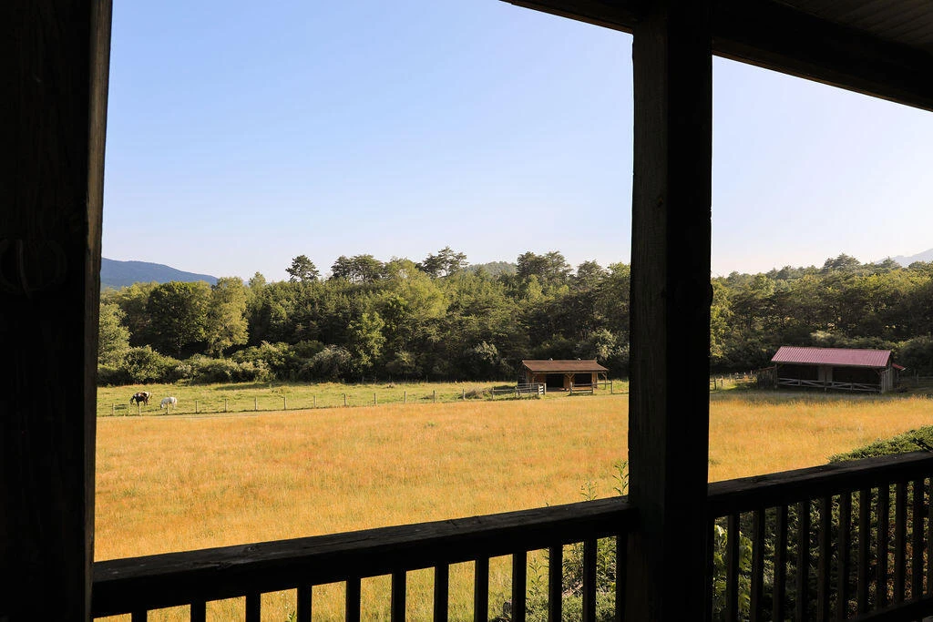 12132 Jackson River Rd - Photo 14