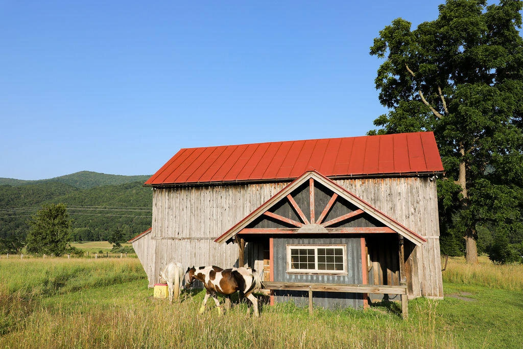 12132 Jackson River Rd - Photo 49