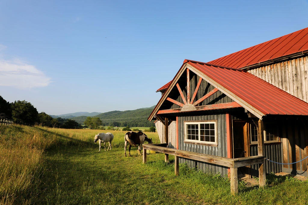 12132 Jackson River Rd - Photo 50