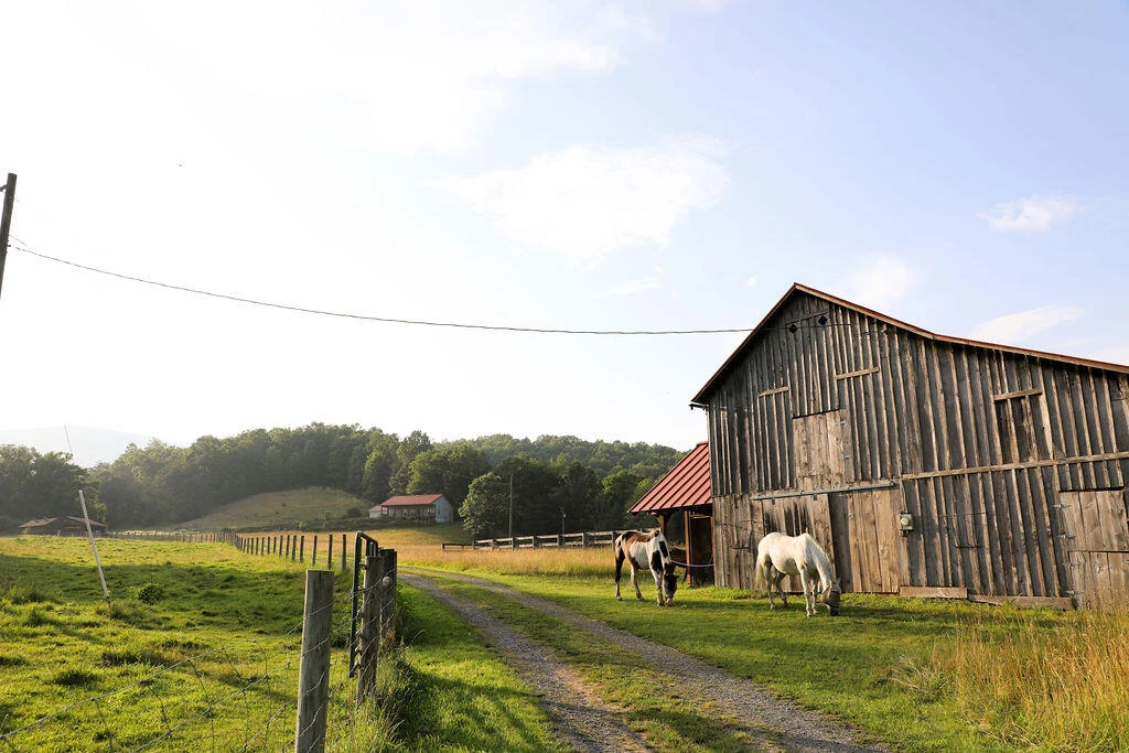 12132 Jackson River Rd - Photo 56