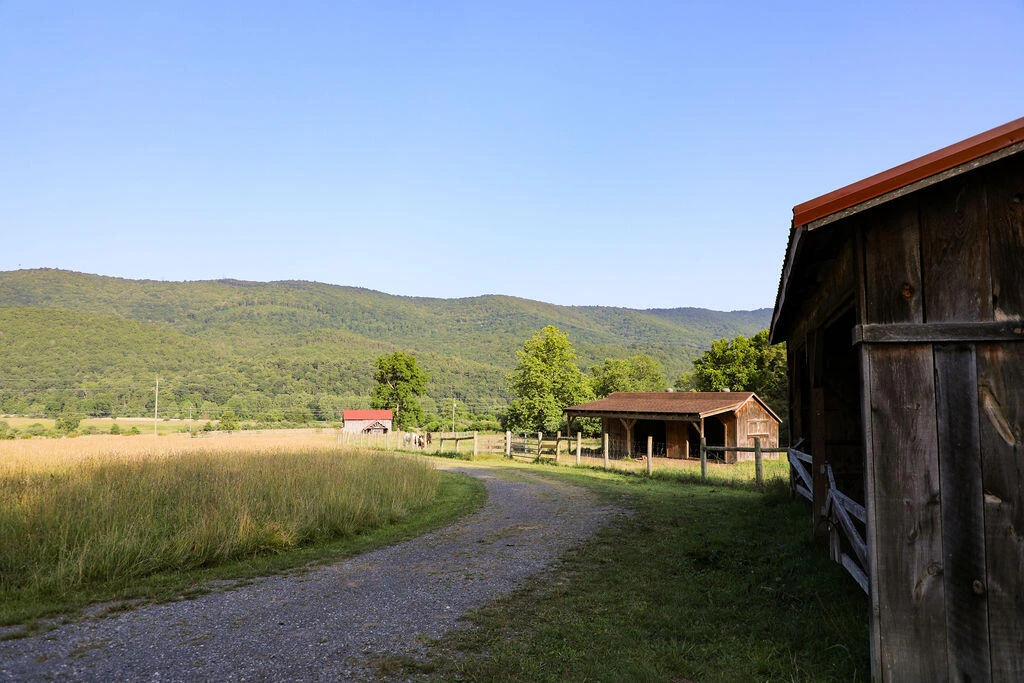 12132 Jackson River Rd - Photo 60