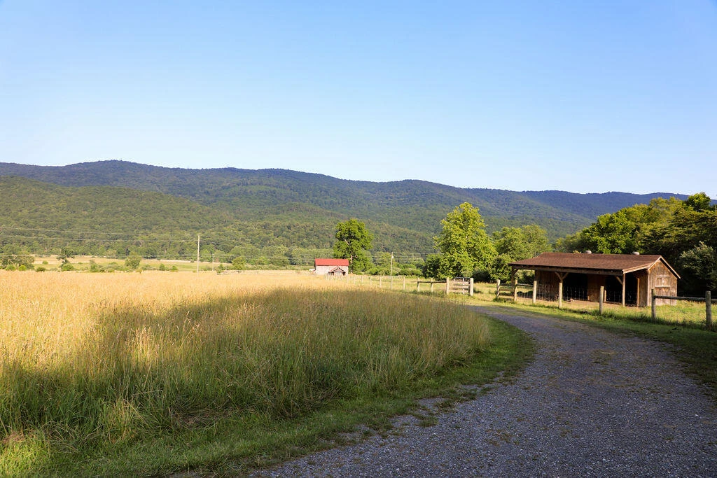 12132 Jackson River Rd - Photo 61