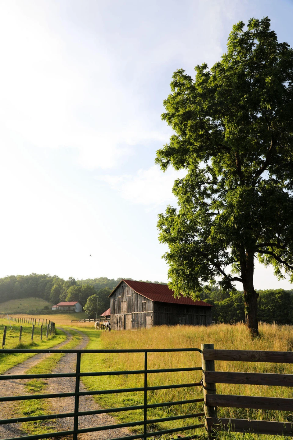 12132 Jackson River Rd - Photo 62