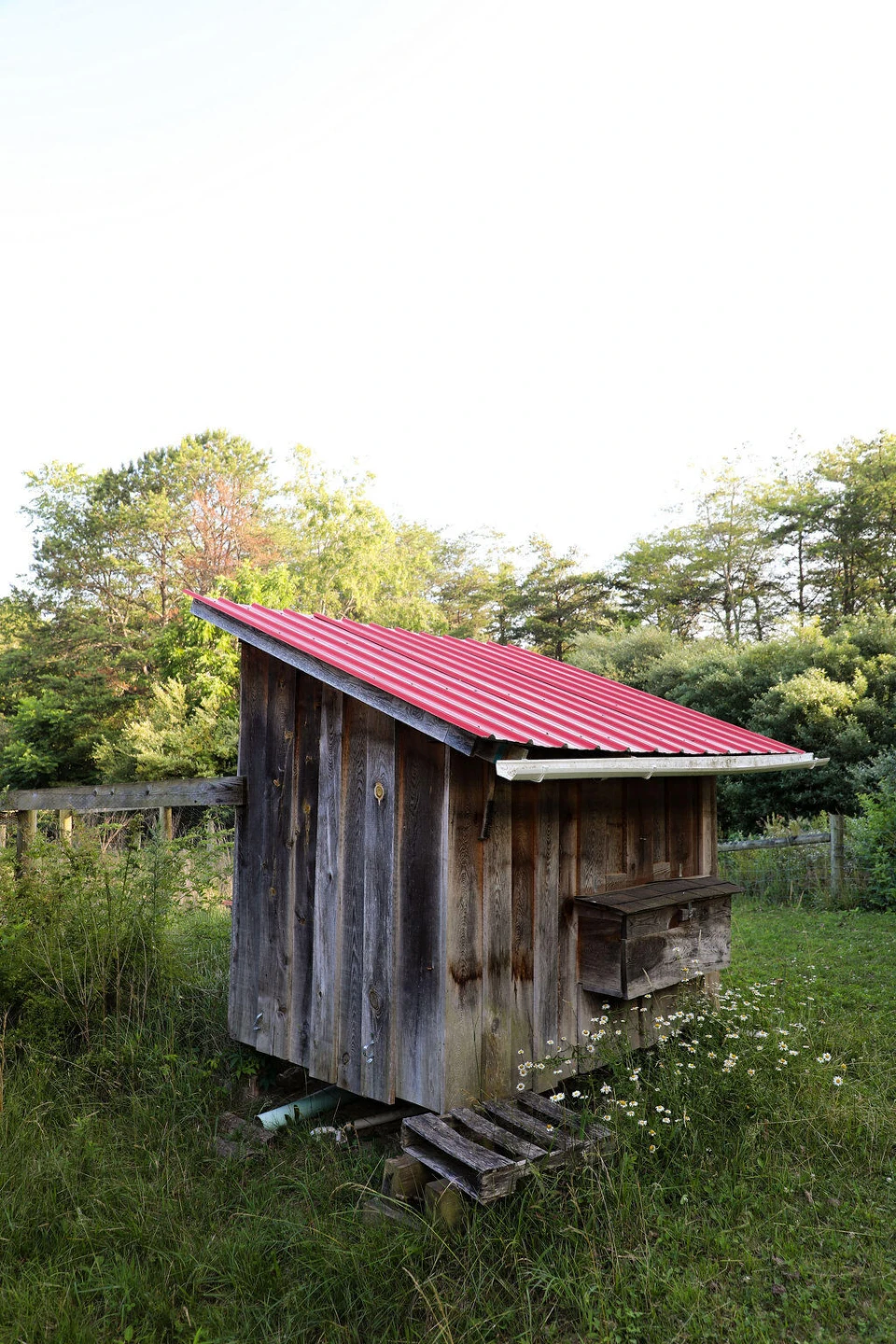 12132 Jackson River Rd - Photo 66