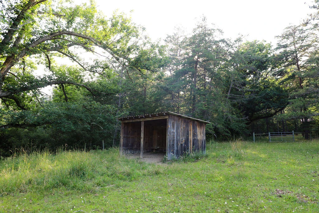 12132 Jackson River Rd - Photo 67