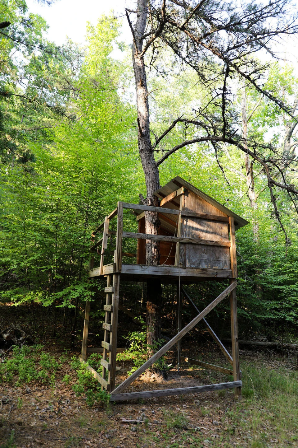 12132 Jackson River Rd - Photo 69