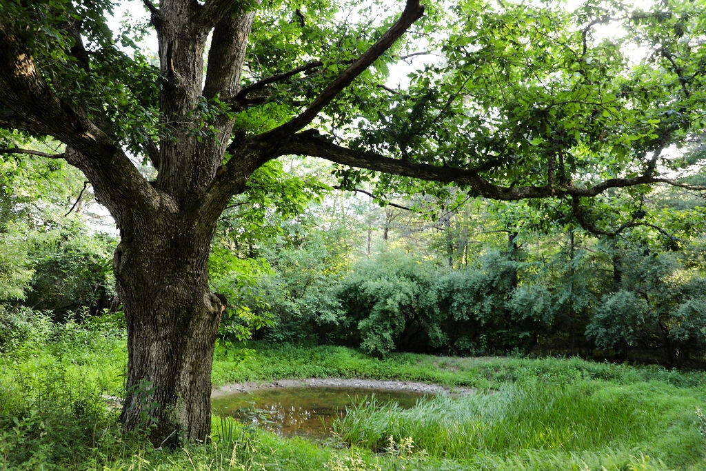 12132 Jackson River Rd - Photo 73