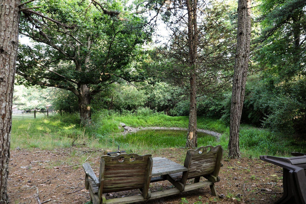 12132 Jackson River Rd - Photo 74