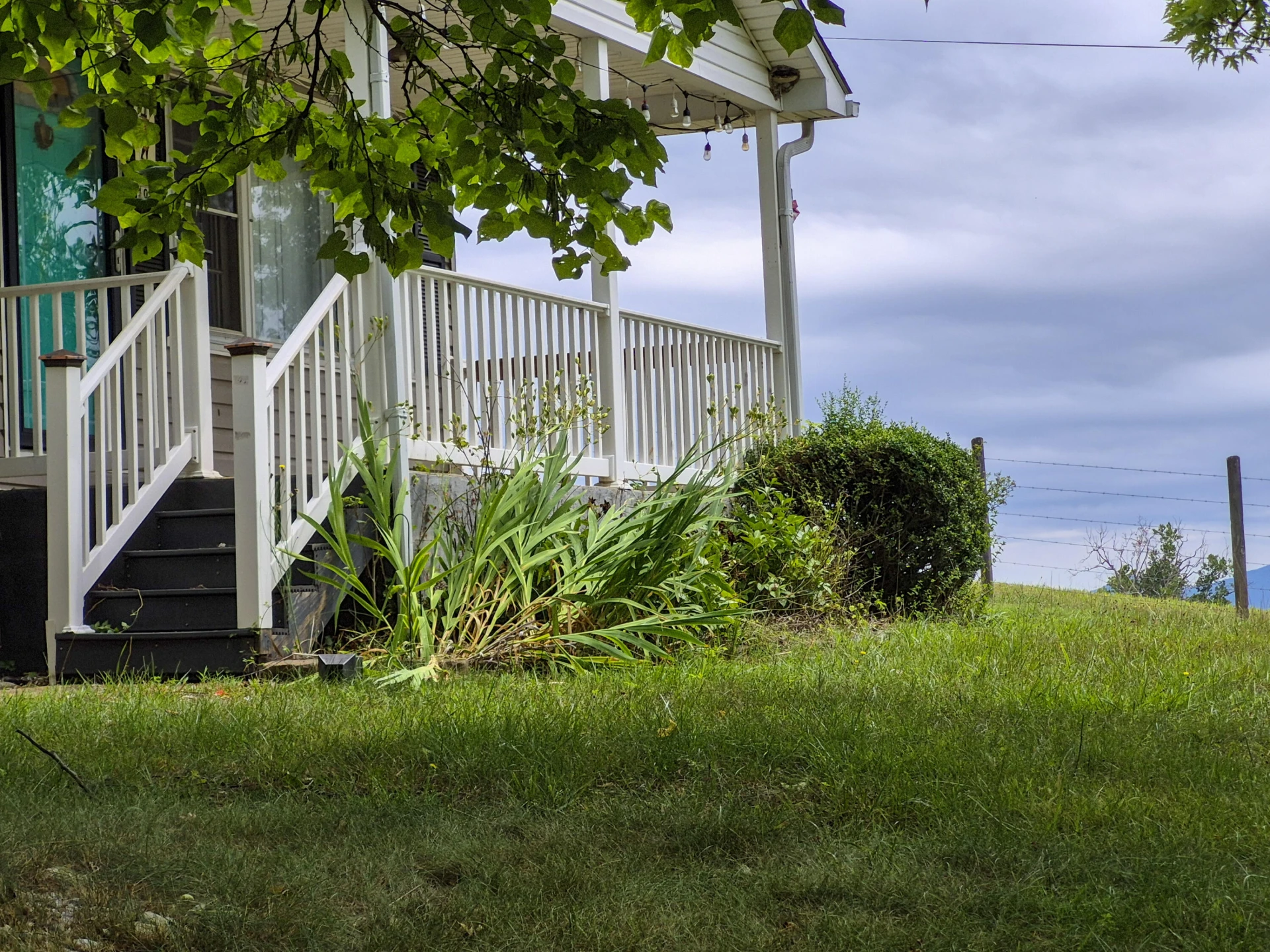 98 CLAYTOR Ln - Photo 2