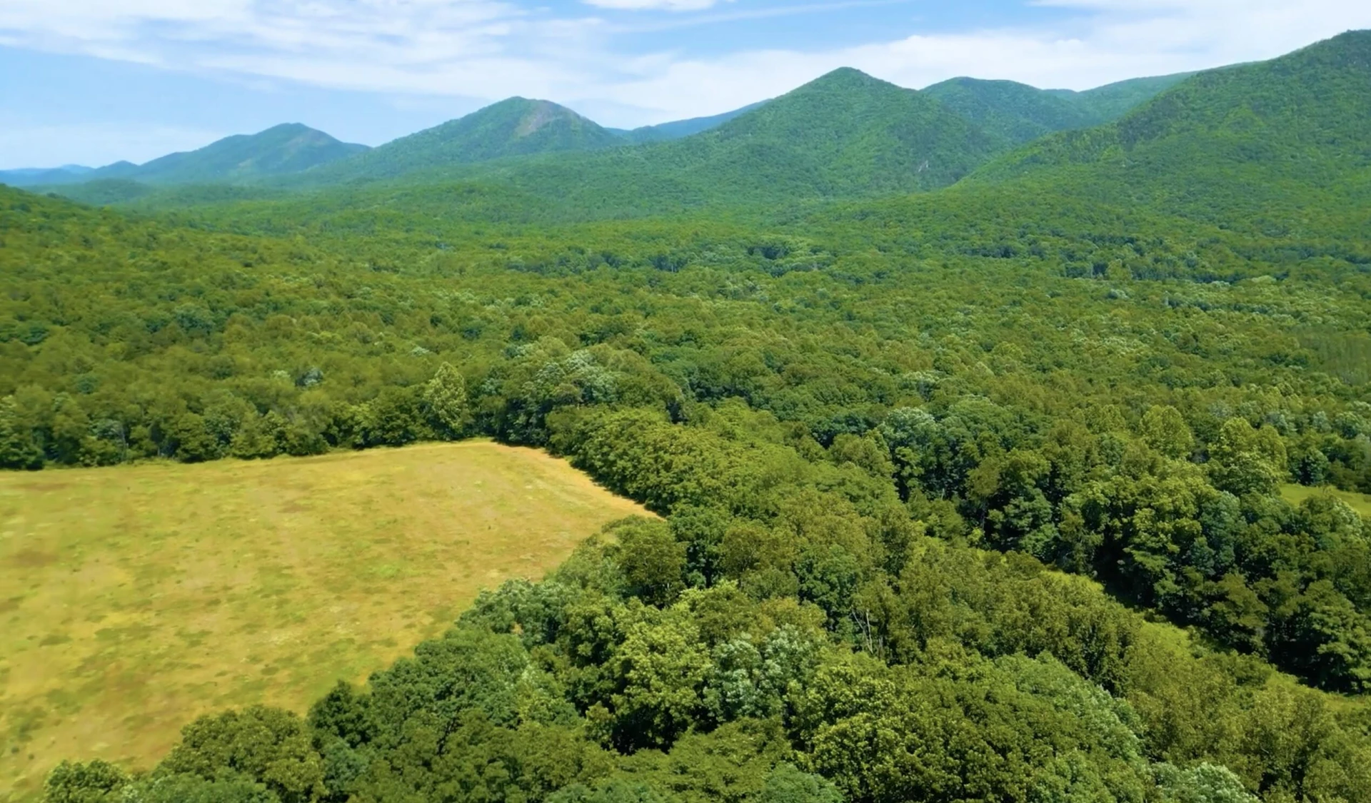 TBD River Rd - Photo 10