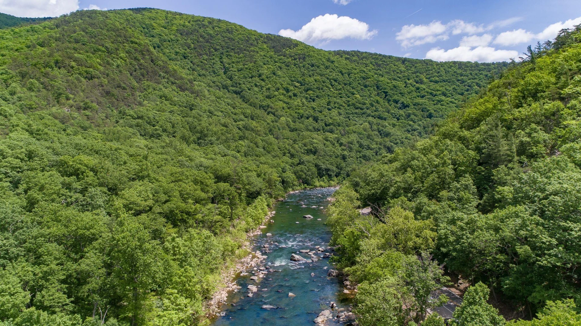 TBD River Rd - Photo 23
