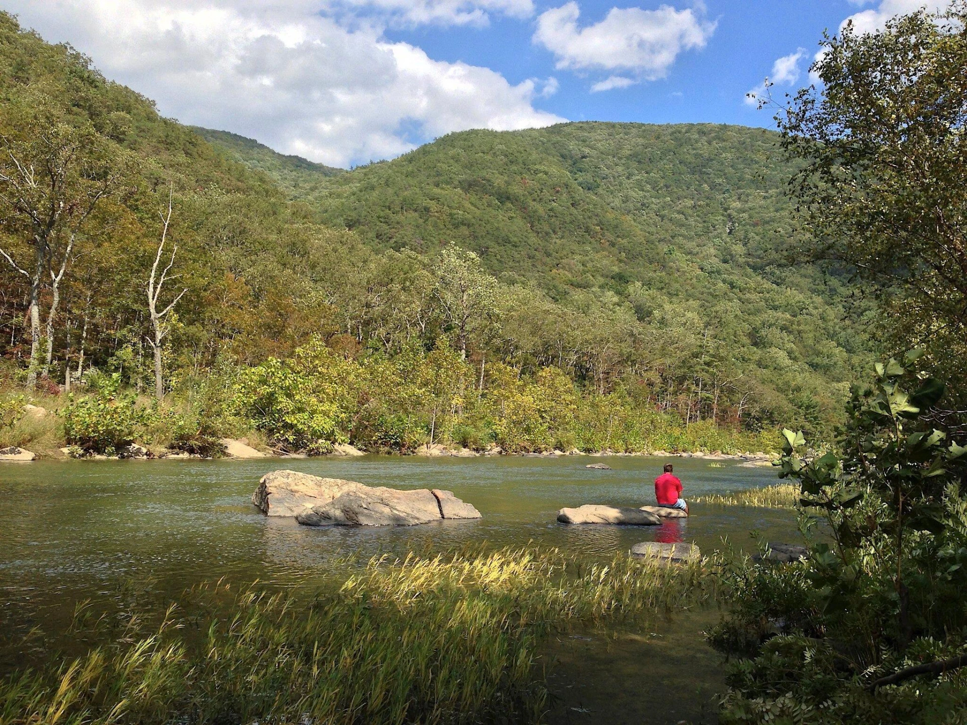 TBD River Rd - Photo 34