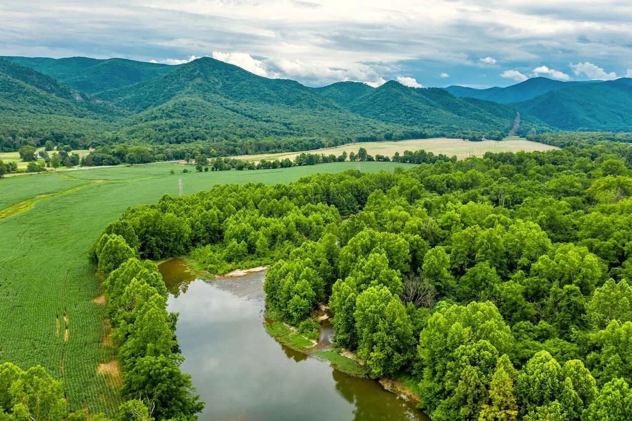 TBD River Rd - Photo 39