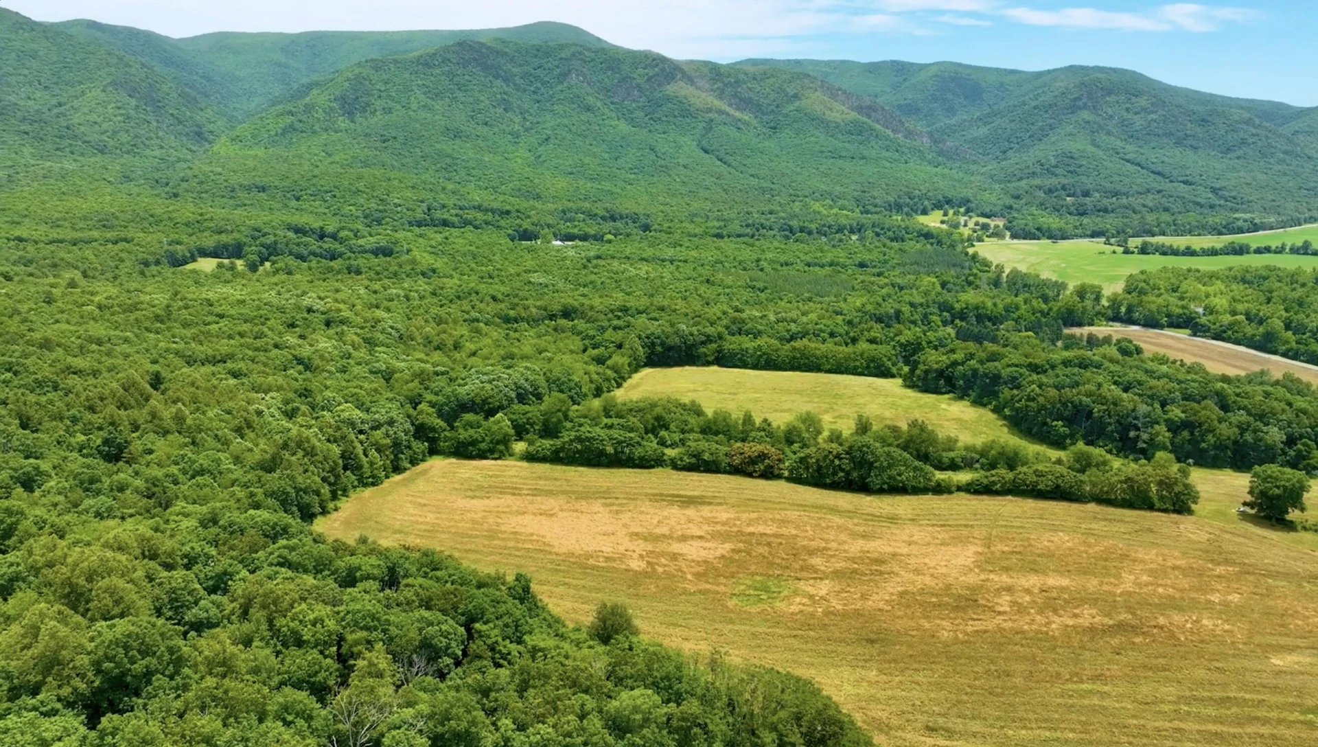 TBD River Rd - Photo 8