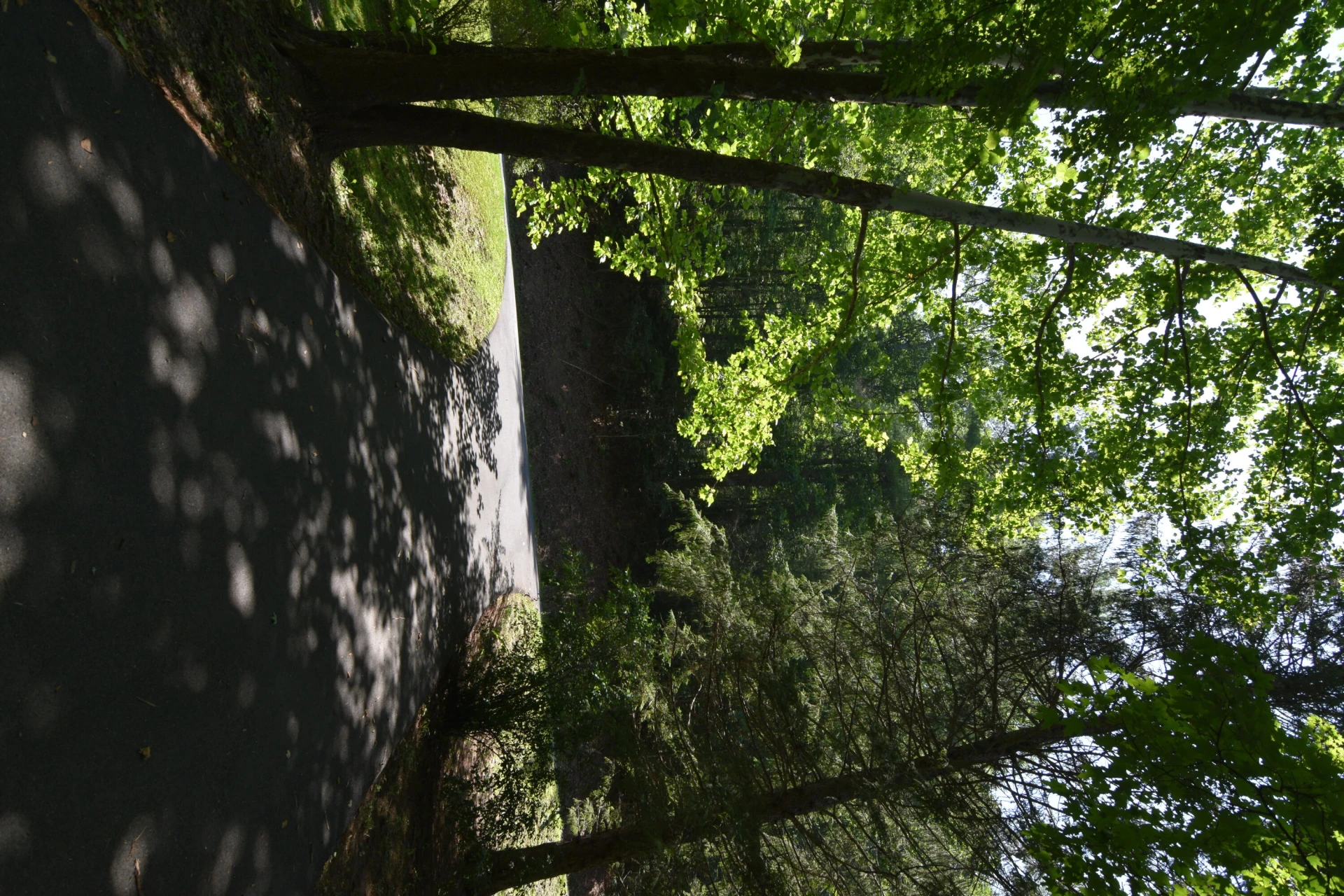 326 Rogers Rd - Photo 5