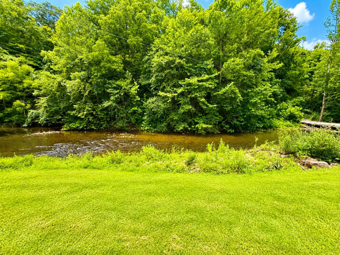 7812 Potts Creek Rd - Photo 2