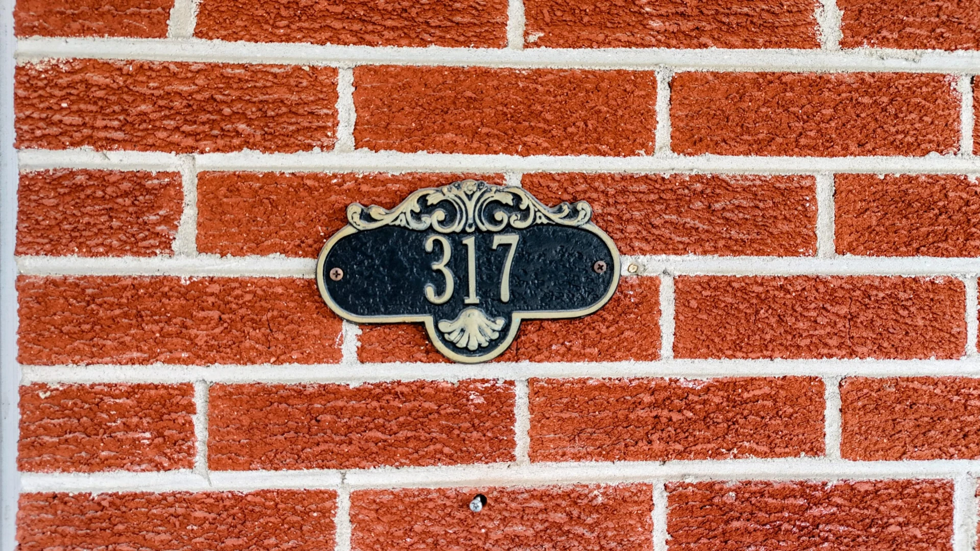 317 MILLER St - Photo 5