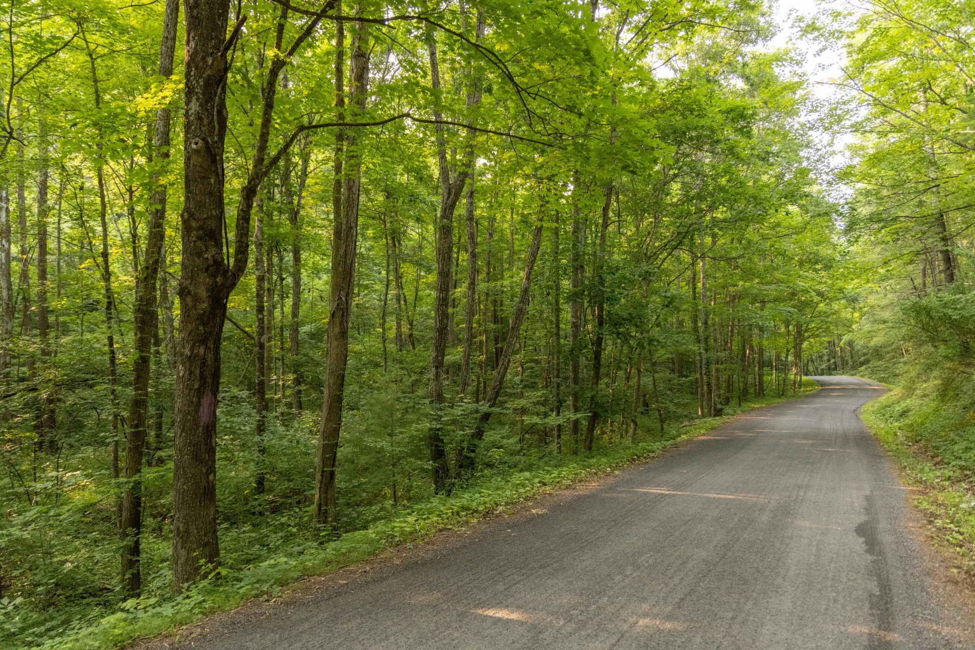 0 Ogles Creek Rd - Photo 10