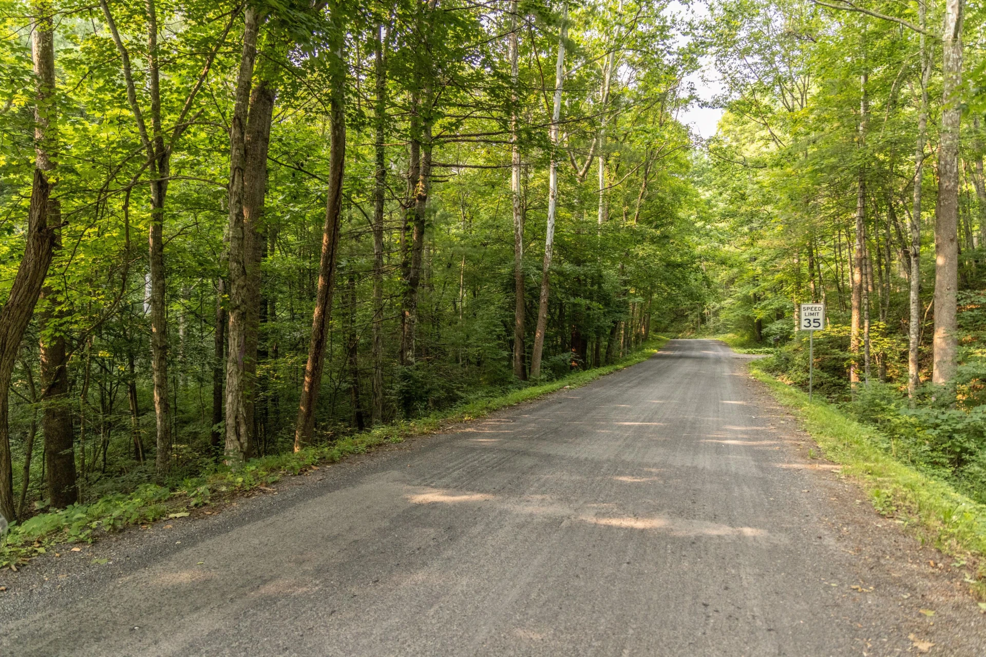 0 Ogles Creek Rd - Photo 11