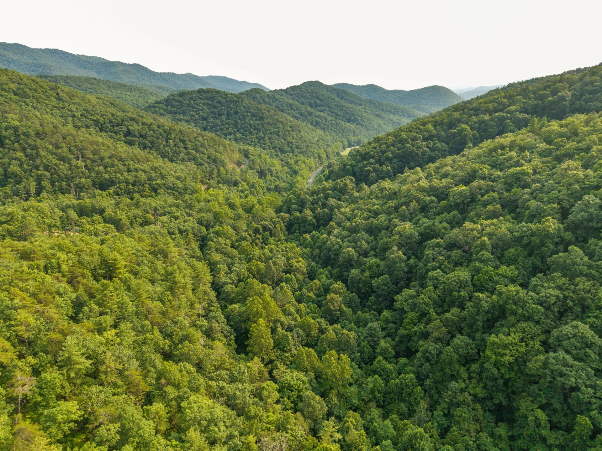 0 Ogles Creek Rd - Photo 13