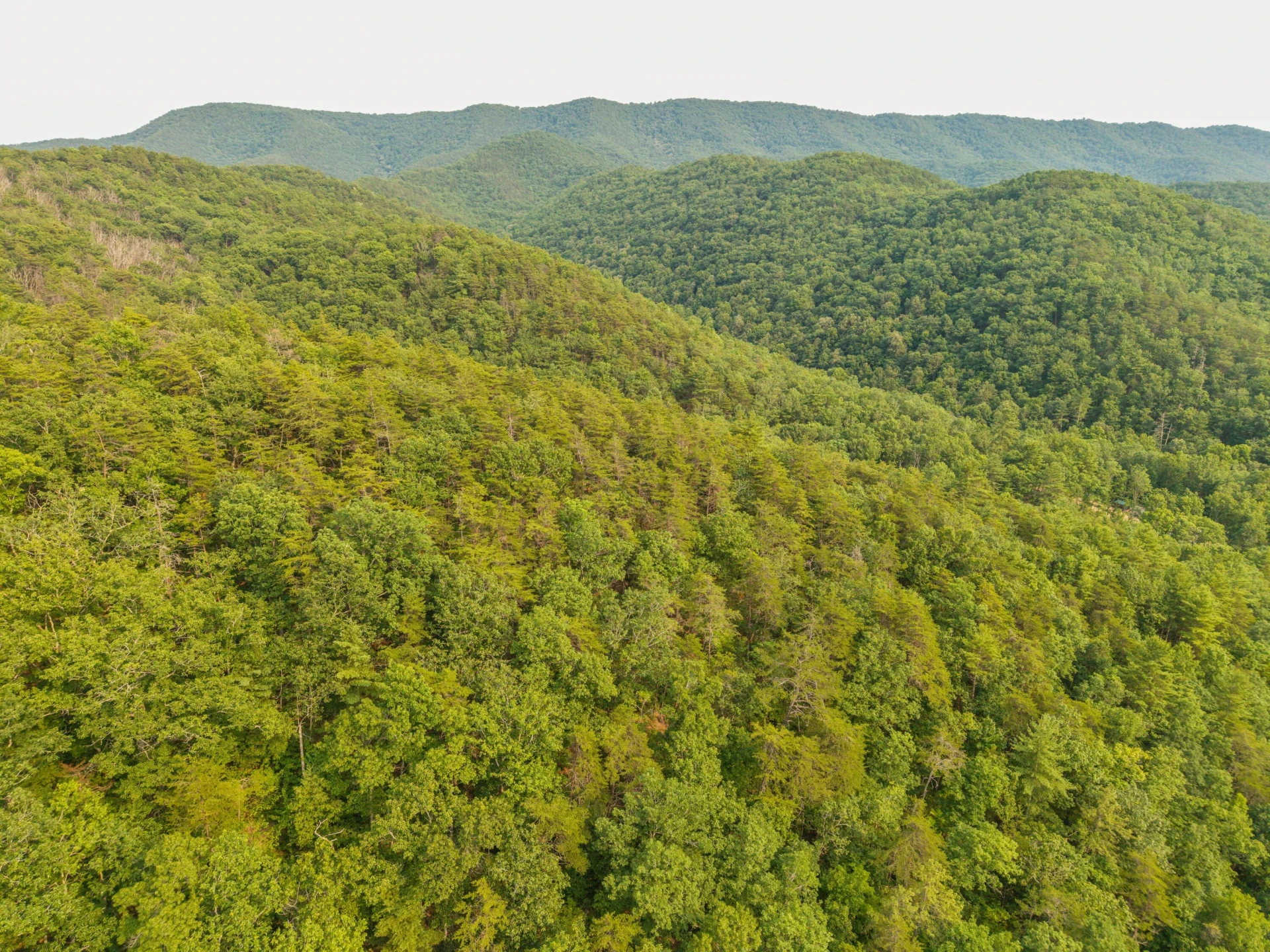 0 Ogles Creek Rd - Photo 14
