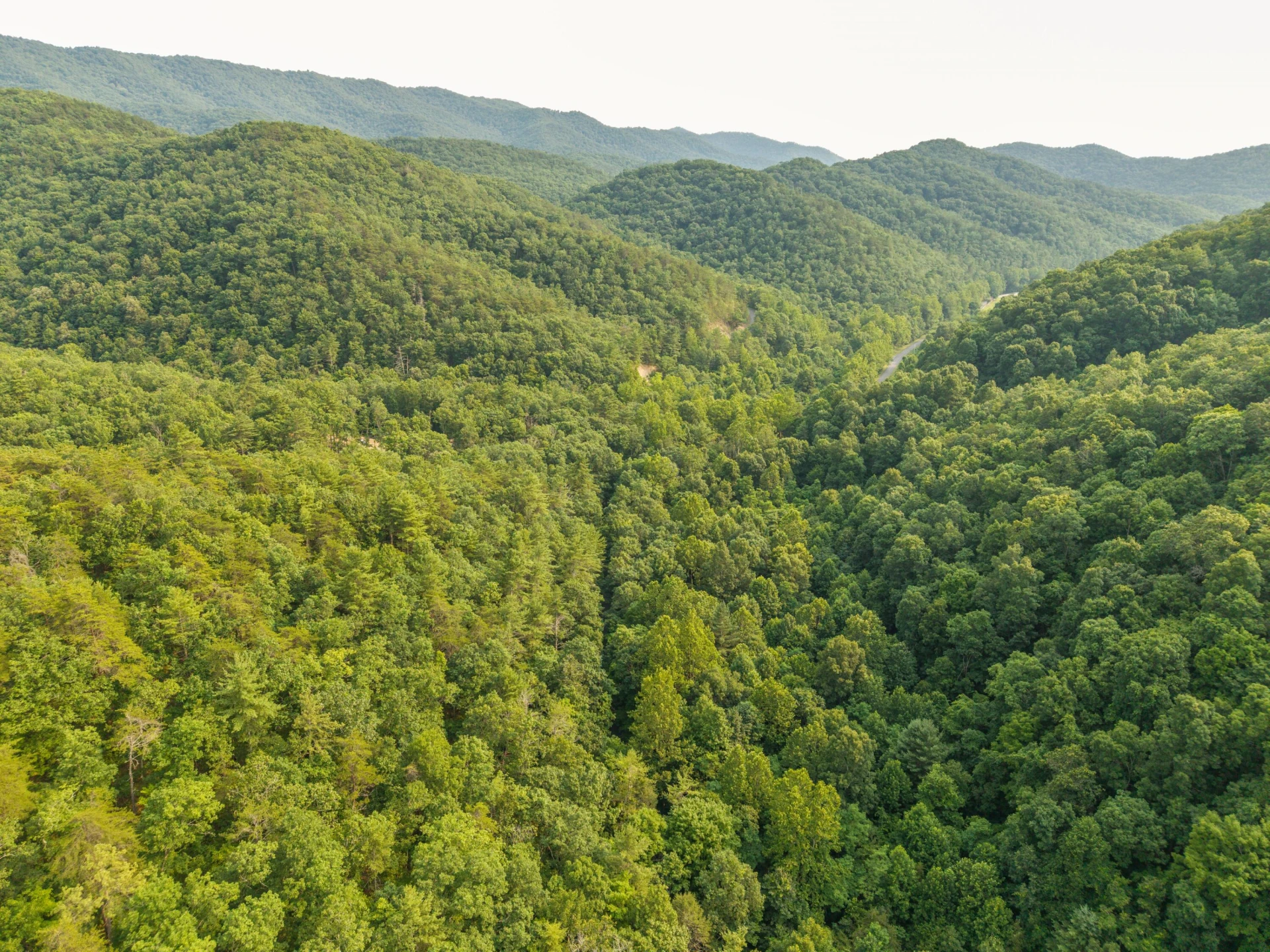 0 Ogles Creek Rd - Photo 15