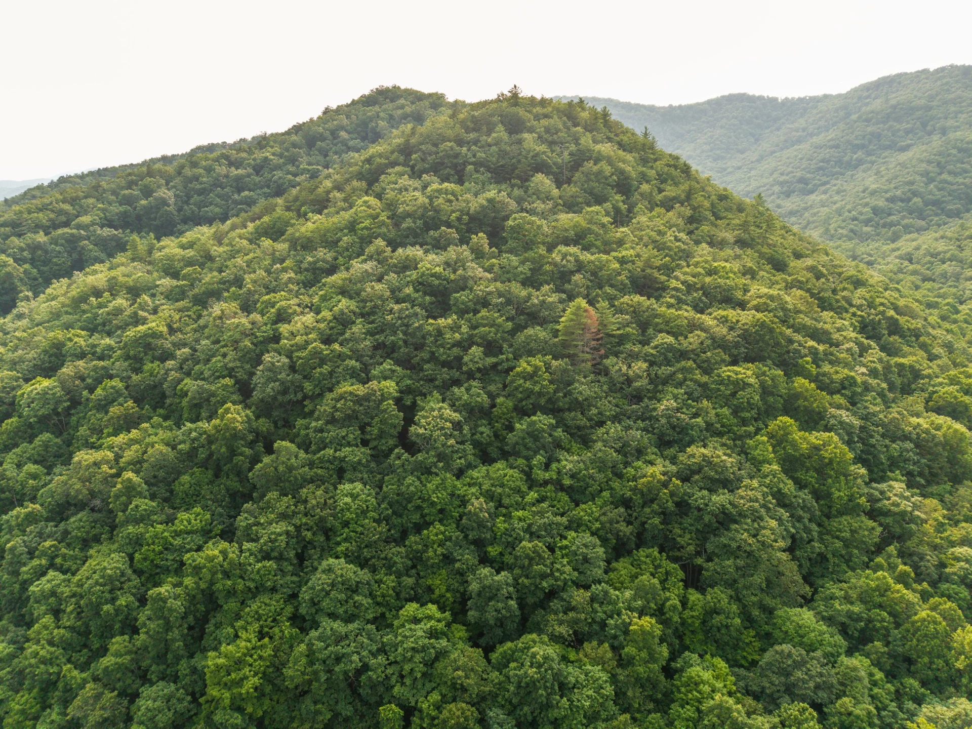 0 Ogles Creek Rd - Photo 17