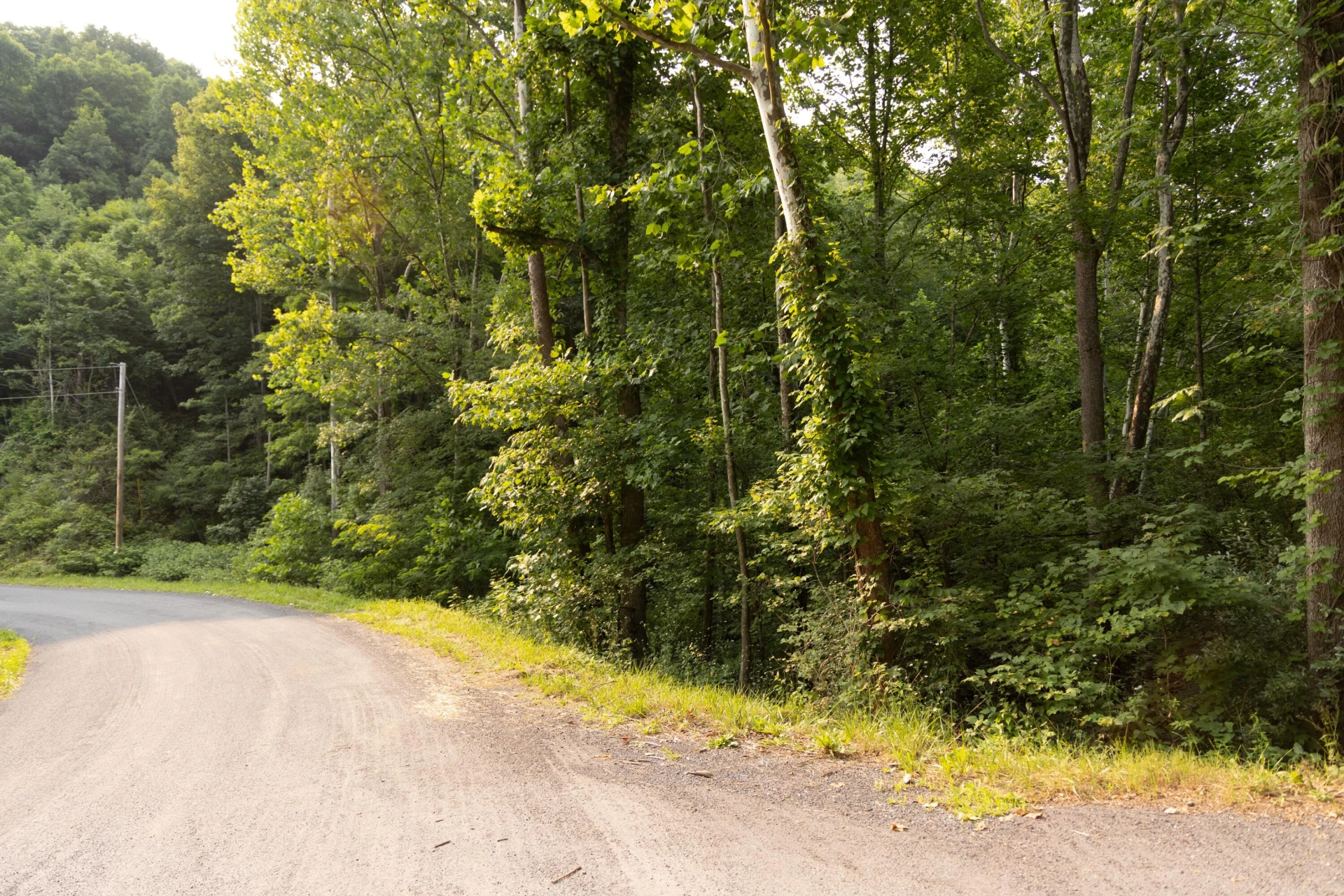 0 Ogles Creek Rd - Photo 22