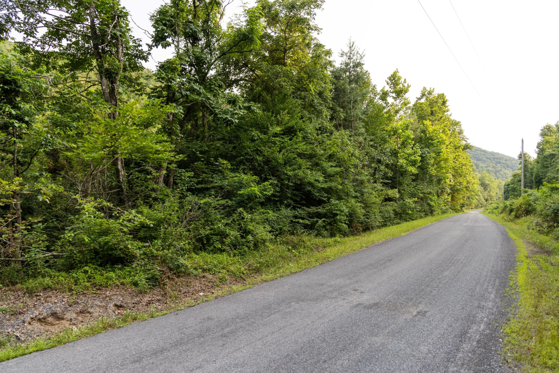 0 Ogles Creek Rd - Photo 23
