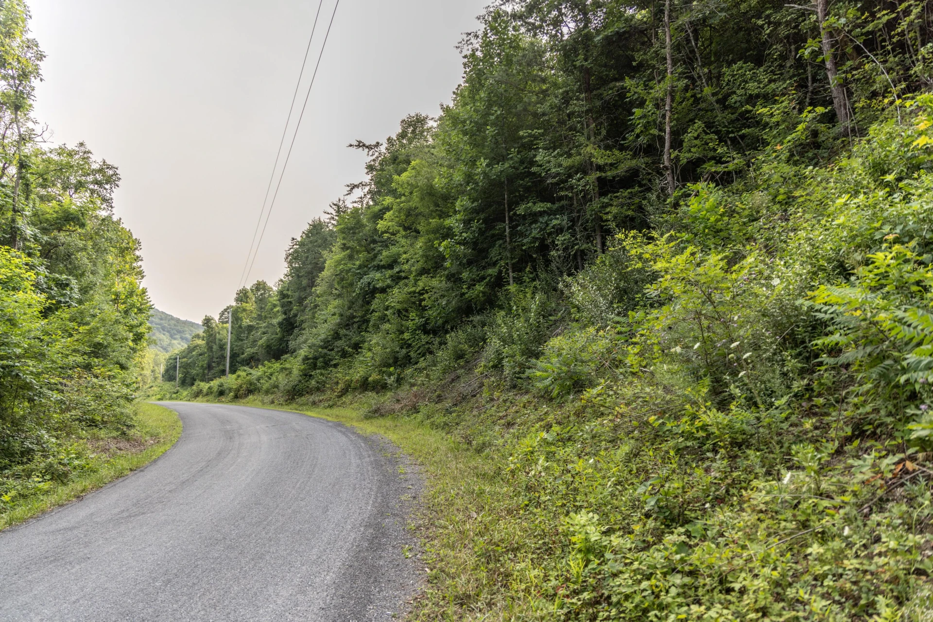 0 Ogles Creek Rd - Photo 24