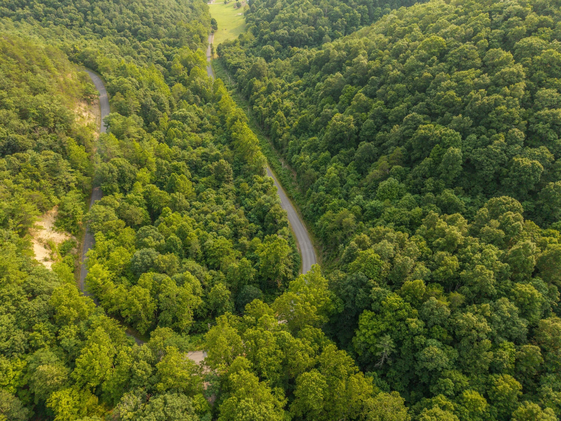 0 Ogles Creek Rd - Photo 4