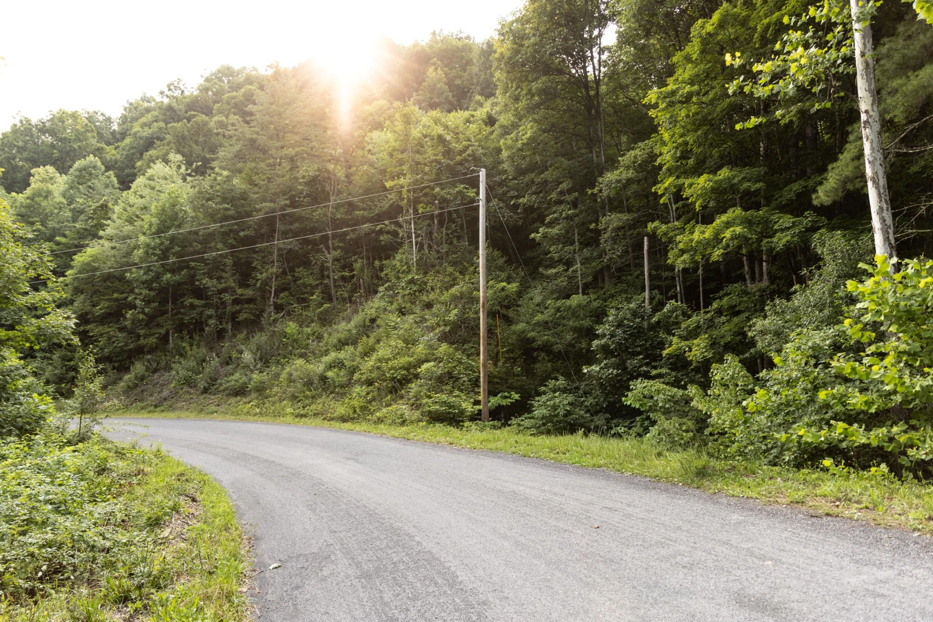 0 Ogles Creek Rd - Photo 8