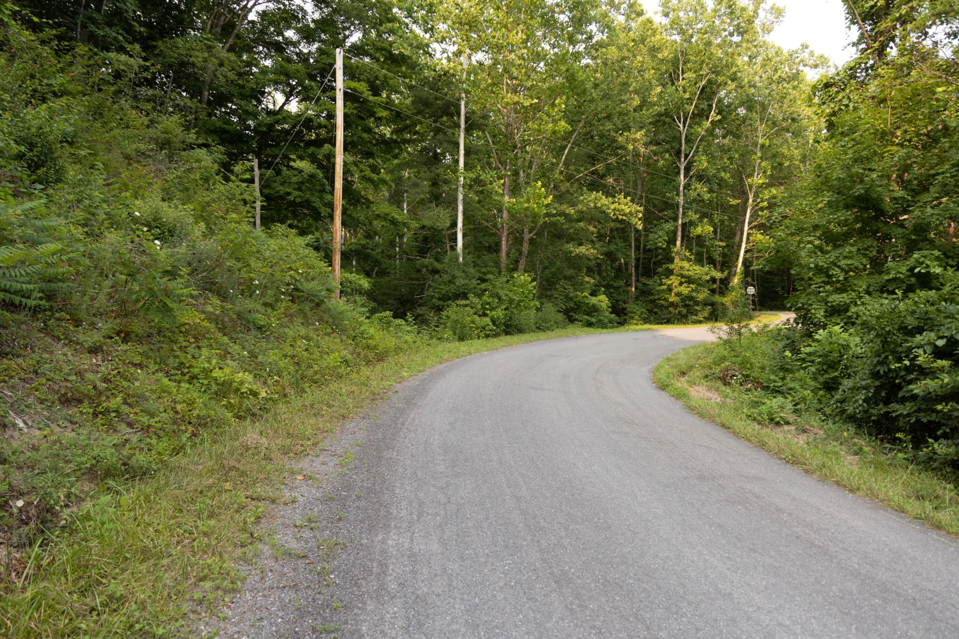 0 Ogles Creek Rd - Photo 9