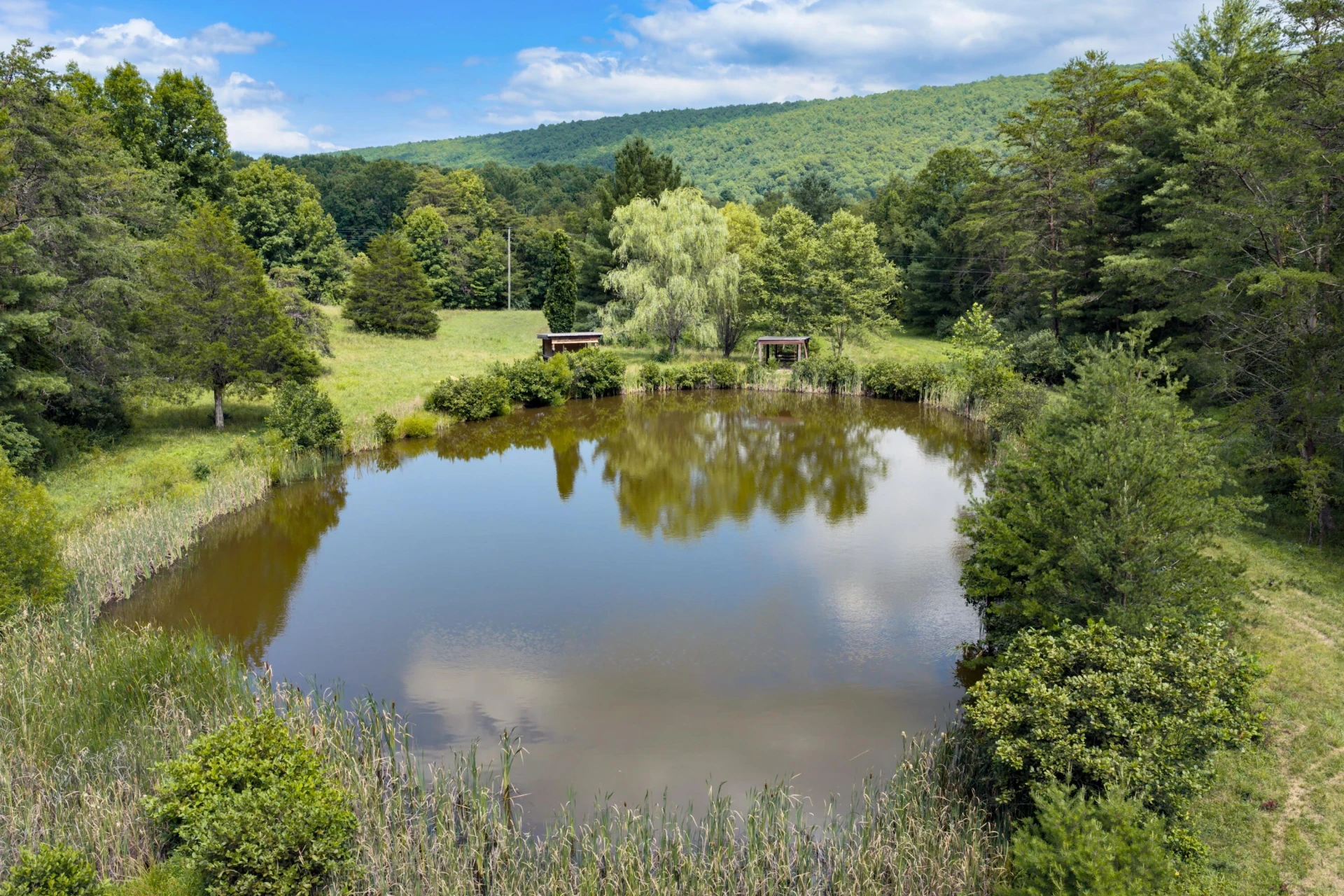125 Great North Mountain Dr - Photo 5